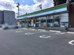 日立市大沼町2丁目　売土地の周辺|コンビニ