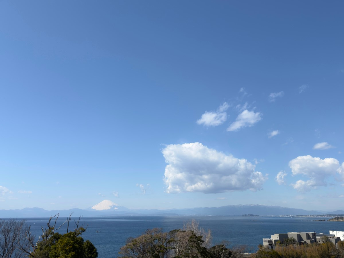 海見え！現況古家から西側に富士山・江ノ島・南側にマリーナの展望|現建物屋上からの展望