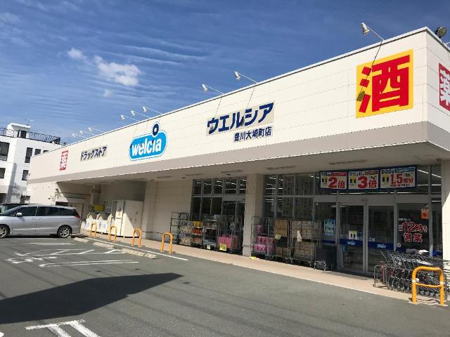 ソレイユの周辺|ウエルシア豊川大崎町店まで422ｍ