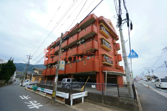 コーポラス坂井【キャッシュバック対象物件】の外観|外観もきれいです