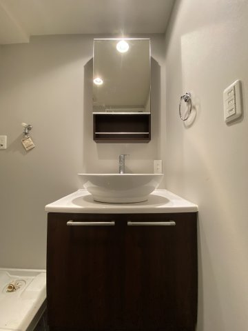 ASTERIA金山の洗面所