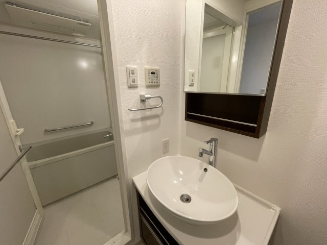 南堀江プライマリーワンの独立洗面台|イメージとして同建物他部屋を表示しています