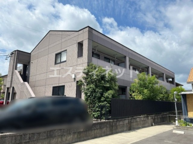 サンフラワー・F