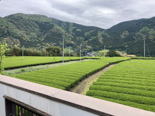 【展望】の画像