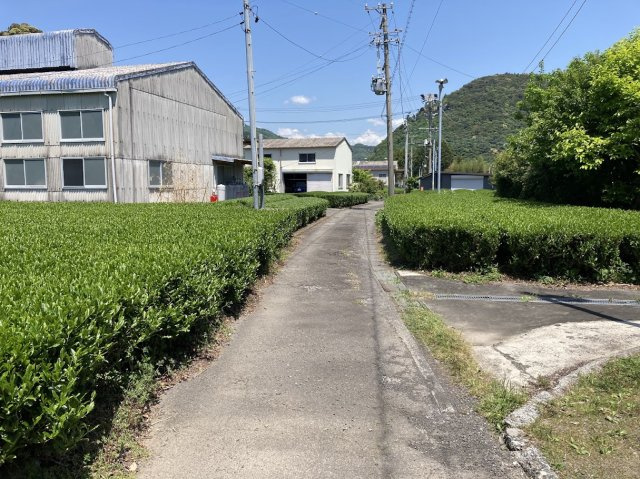 【前面道路含む現地写真】の画像