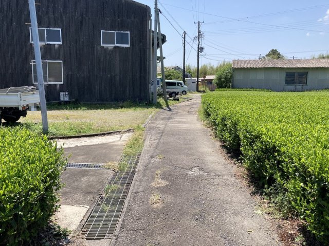 【前面道路含む現地写真】の画像