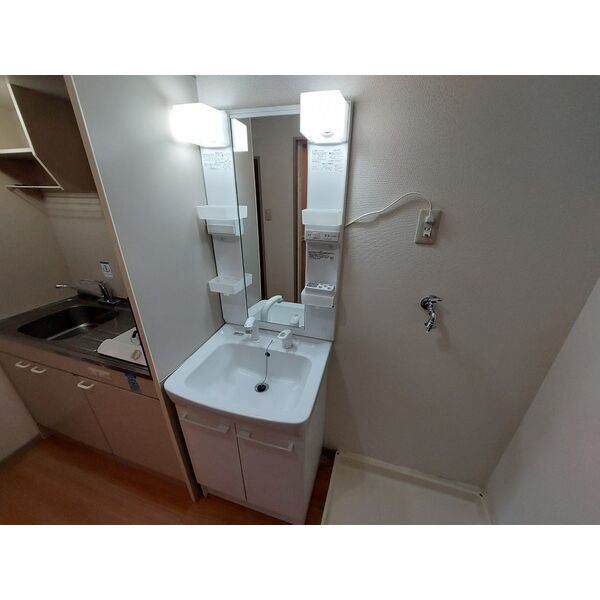 サニーハウス伏見の洗面所