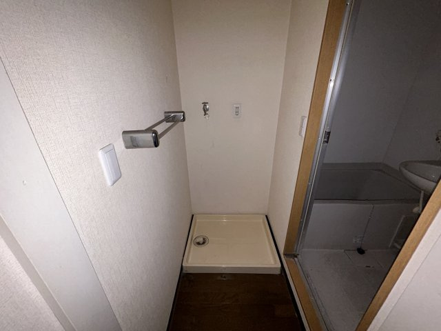 メゾン椿の洗面所