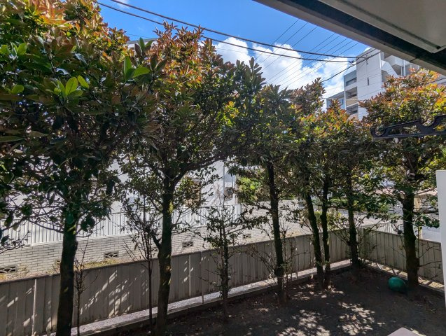 メゾンブランシュの展望