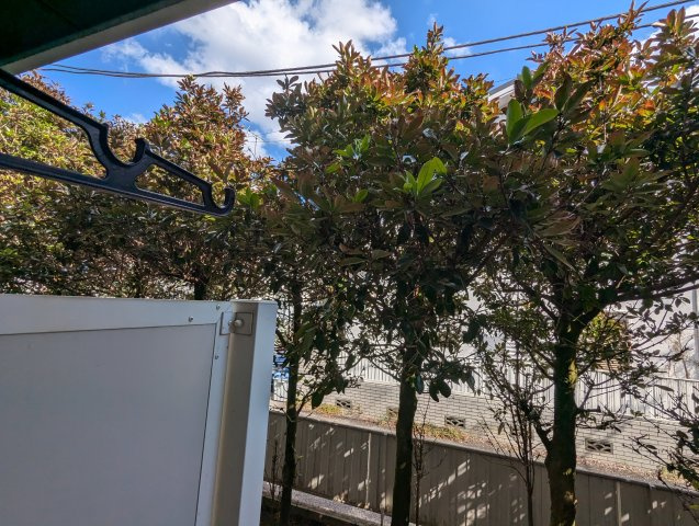 メゾンブランシュの展望