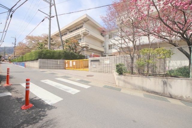 フラワリータウン生駒A棟の周辺|小学校「生駒市立生駒南小学校まで871m」
