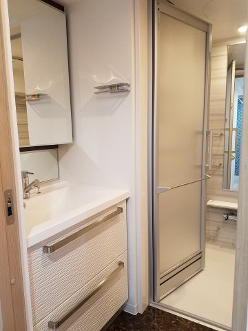 ディアコート八木の洗面所|洗面化粧台。鏡裏に便利な収納あり