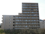 ラウロ相川リーヴァの画像