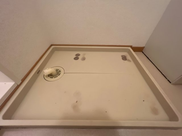 パークサイドライヴンのその他