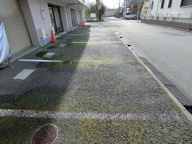 白樺の駐車場