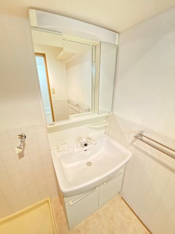 ブルージュ摂津の洗面所