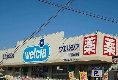 カーサ　トーレの周辺|ウエルシアまで54m