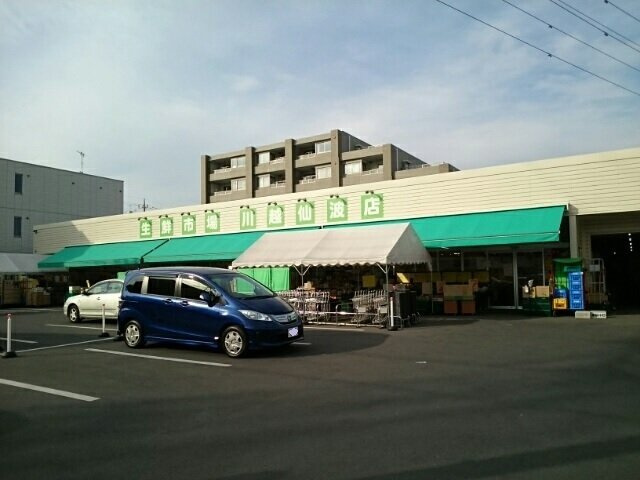 カーサ　トーレの周辺|生鮮市場川越仙波店まで450m