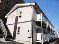 Surplus　One後藤の画像