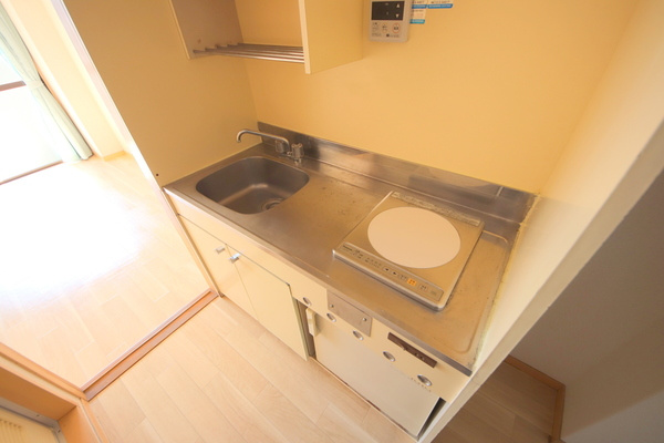 アイリスハイツ1号館のキッチン