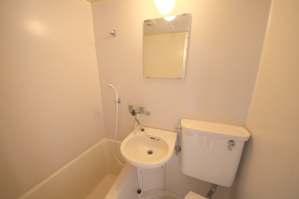 アイリスハイツ1号館の洗面所