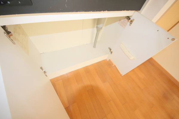 レオ四条大路のその他