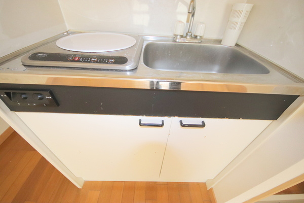 レオ四条大路のキッチン