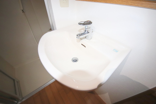 レオ四条大路の洗面所