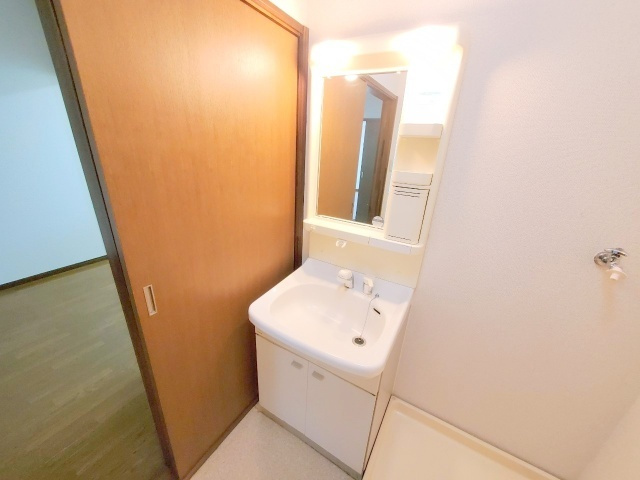 プロシードの洗面所