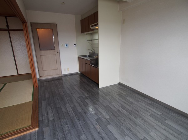 プラムキャッスルＳ-１の居間・リビング