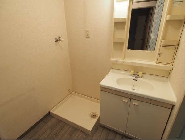 プラムキャッスルＳ-１の洗面所