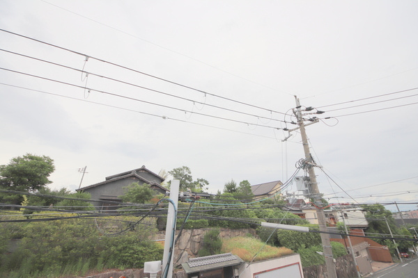 シティパレスあやめ池P-8のその他