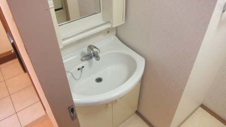 ルーラルタウン壱番館の洗面所|独立洗面台付いてます