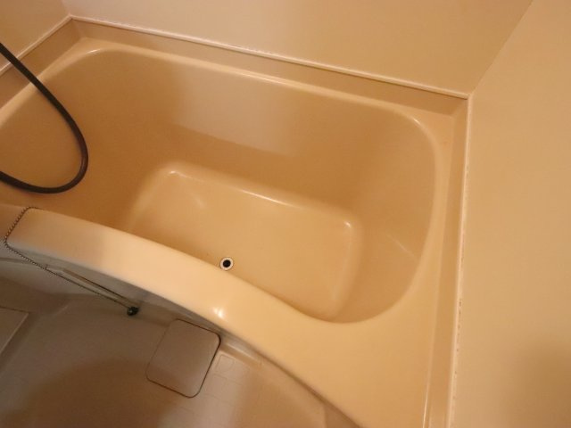 和州ロイヤルビルの浴室