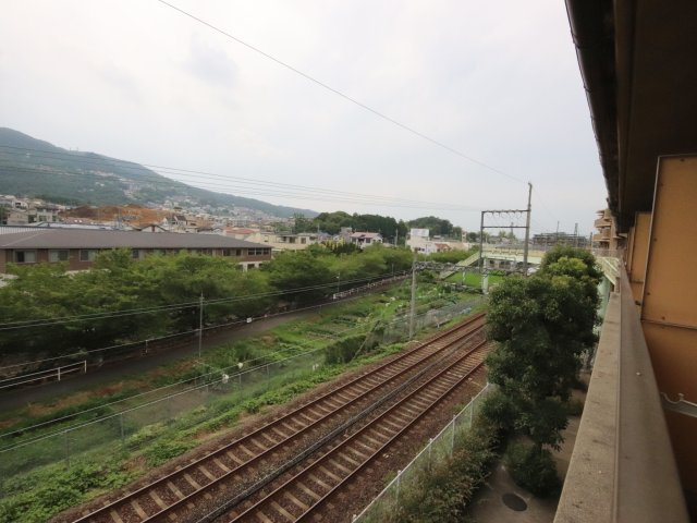 和州ロイヤルビルの庭