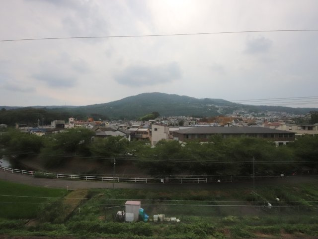 和州ロイヤルビルの展望