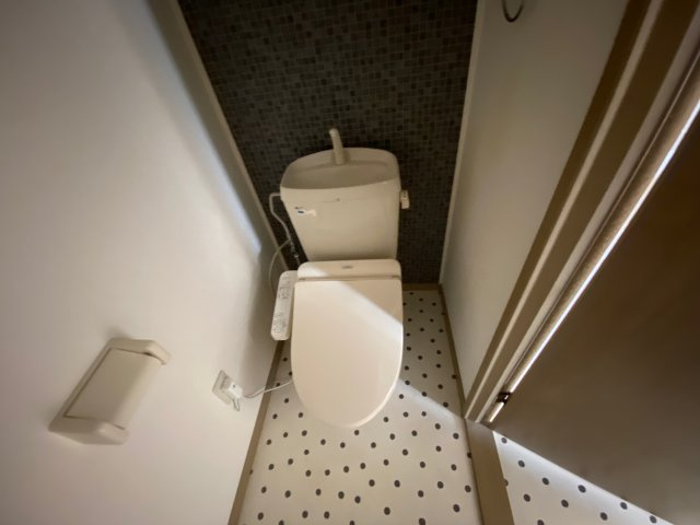 サンハイム下手野 A棟のトイレ