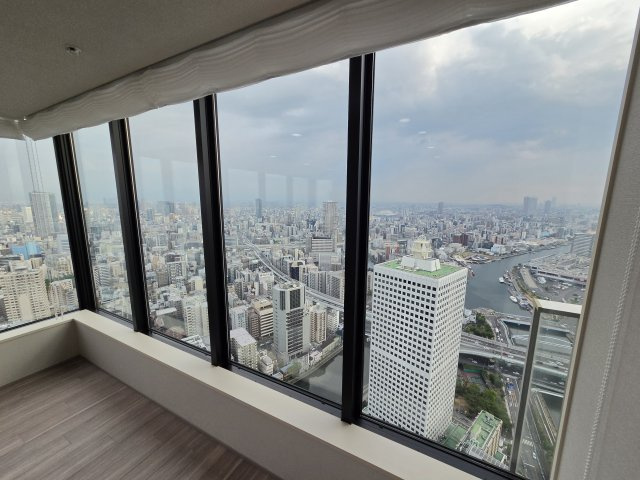 ザ・パークハウス中之島タワーの展望