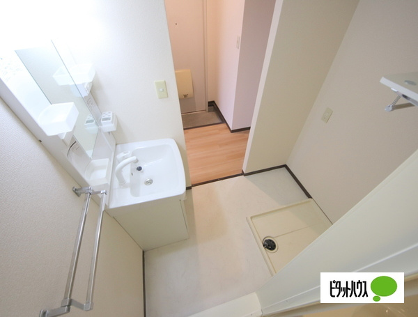 メゾンソワニエB棟の洗面所