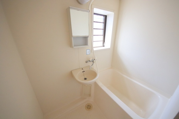 リバーサイドシングルの洗面所