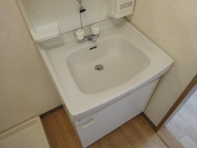 エントピアハイムSの洗面所