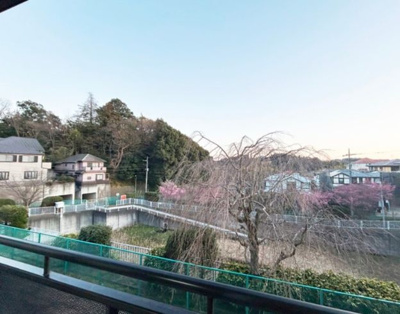 【展望】 | ピュアパセオ