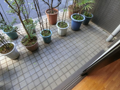 【バルコニー】 | オラシオンⅡ