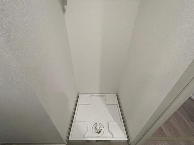 レジュールアッシュ谷町四丁目グランクラスの洗面所