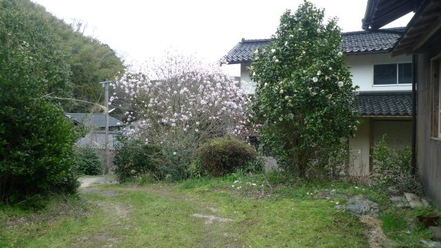 野郷町戸建ての庭|雑木が多く、花も楽しめる庭です。