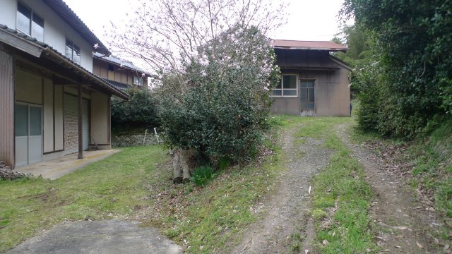 野郷町戸建ての庭|別棟の物置と母屋は、高低差があります。