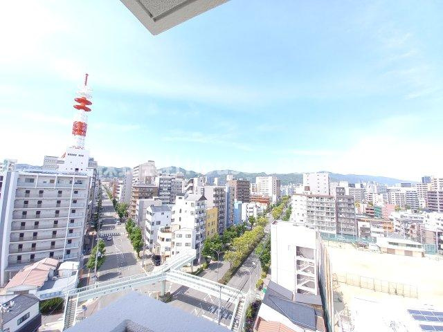 MJC神戸ブレイヴの展望