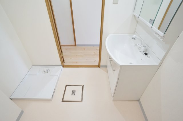 宝塚彩悠館の洗面所