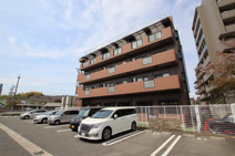 トリニティーグレースの画像