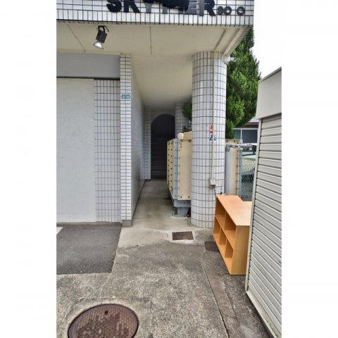 ＳＫＹＰＩＥＲ・ＳＯＬＯのその他